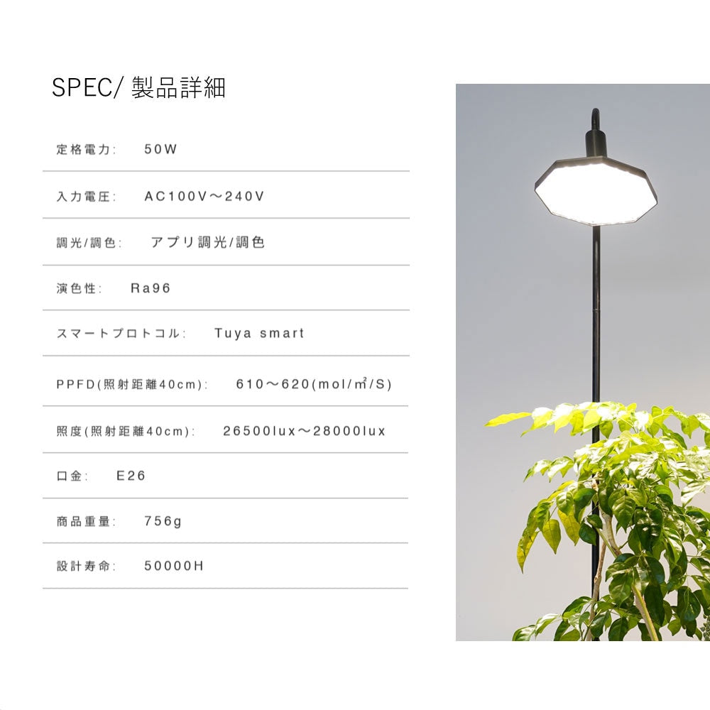 【ROKI-Octagon-50W】PRO SPEC<br>CCT: 3000-5000K