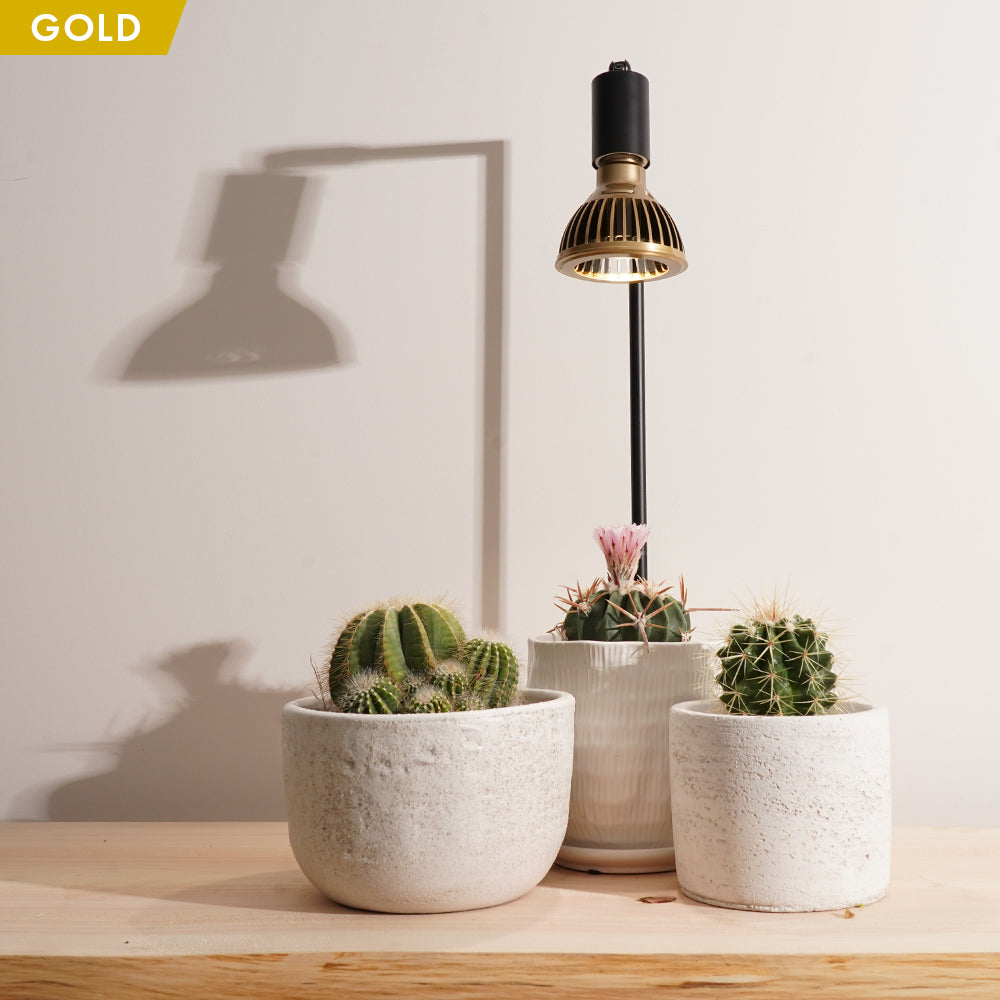 【TSUKUYOMI 10W】 BULB E26<br>AKADAMACHAN MODEL Gold/Bronze<br>CCT: 4000~5000K