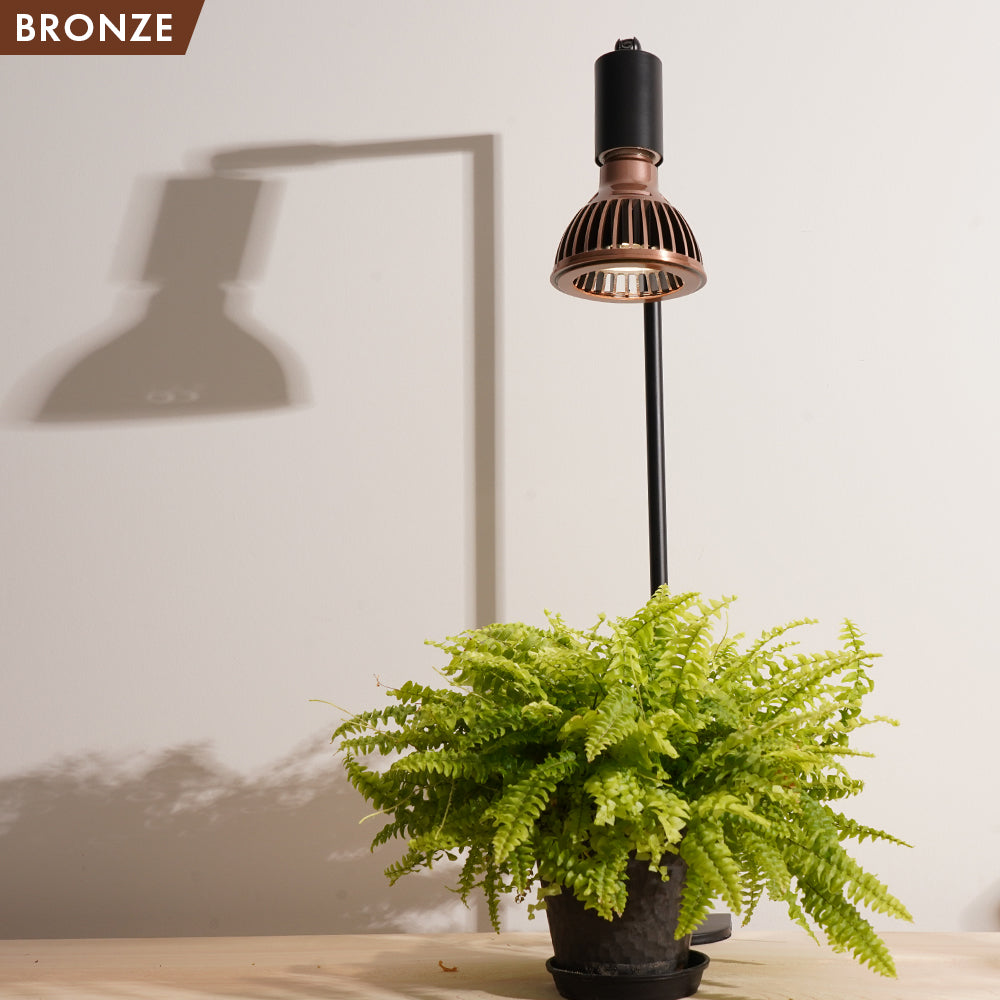 【TSUKUYOMI 10W】 BULB E26<br>AKADAMACHAN MODEL Gold/Bronze<br>CCT: 4000~5000K