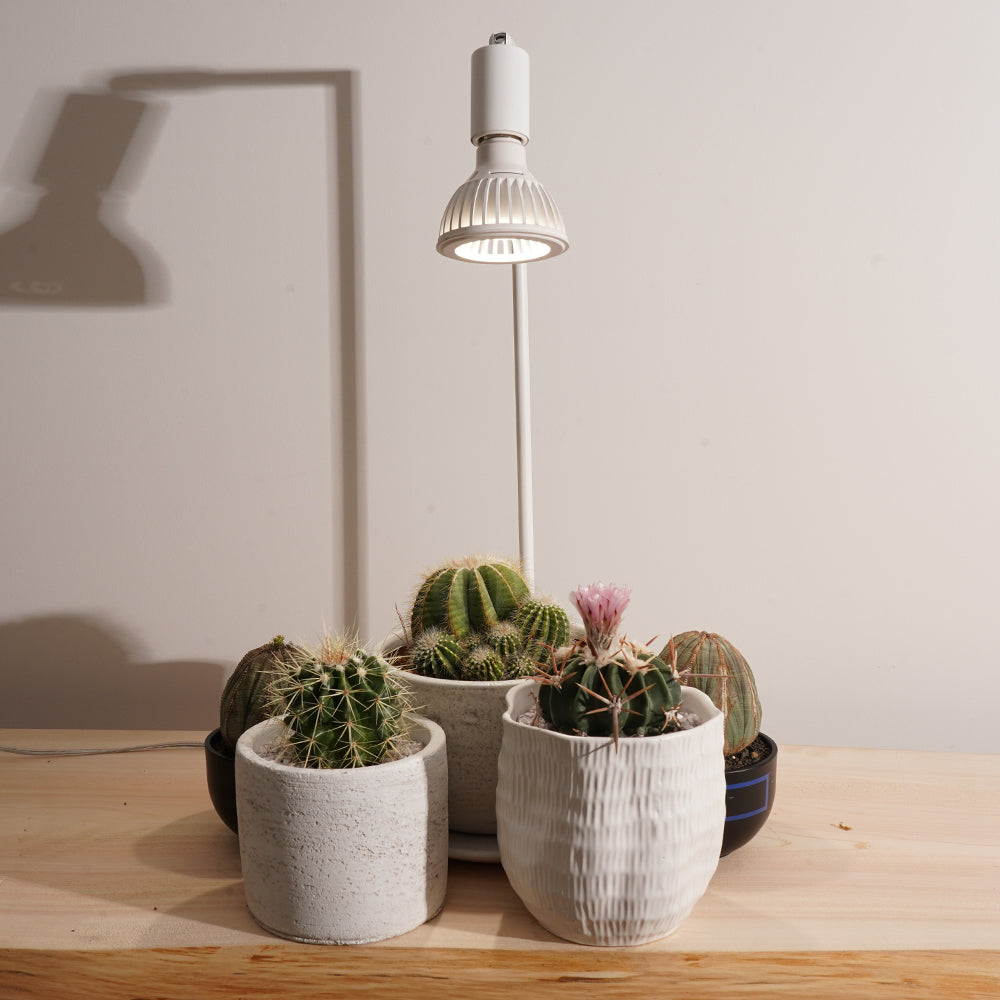 【TSUKUYOMI 10W】BULB E26<br>CCT: 4000~5000K