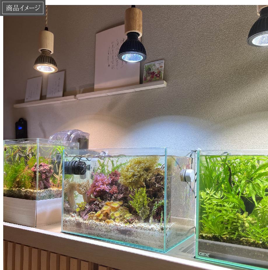 【SUSANOO 10W】BULB E26<br>CCT: 11000~16000K