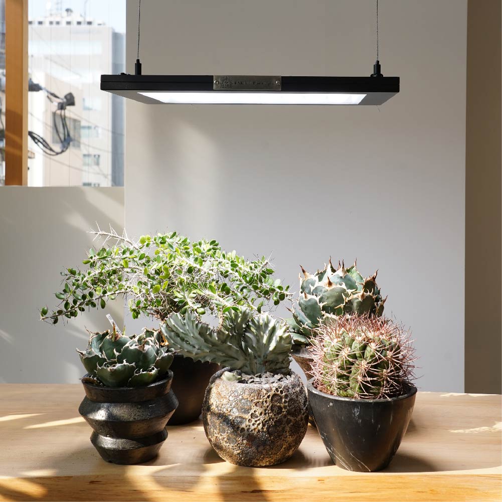 【ROKI-350 100W】PRO SPEC<br>CCT: 5300~5700K