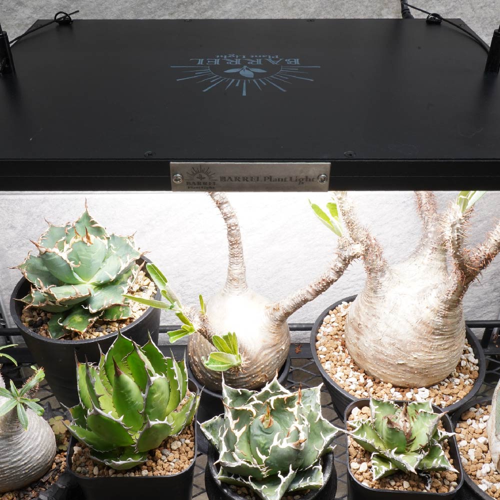 【ROKI-350 100W】PRO SPEC<br>CCT: 5300~5700K