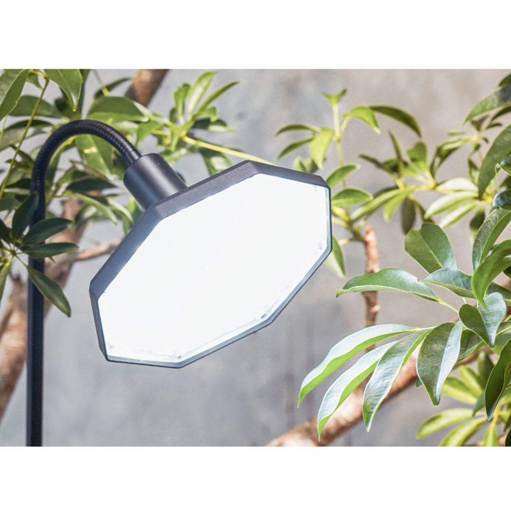 【ROKI-Octagon-50W】PRO SPEC<br>CCT: 3000-5000K