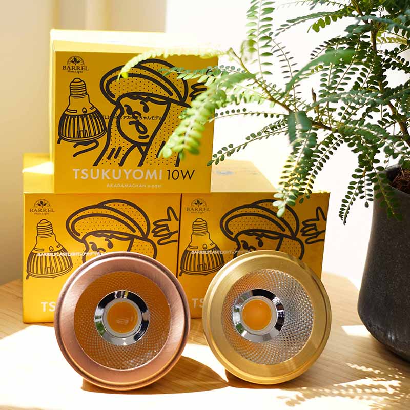 【TSUKUYOMI 10W】 BULB E26<br>AKADAMACHAN MODEL Gold/Bronze<br>CCT: 4000~5000K