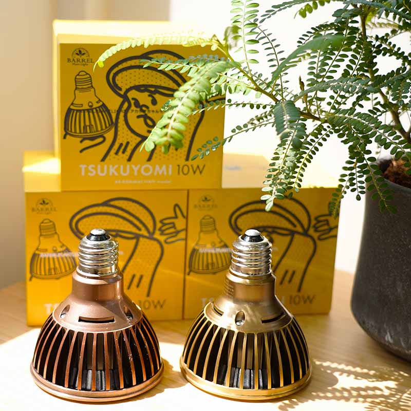 【TSUKUYOMI 10W】 BULB E26<br>AKADAMACHAN MODEL Gold/Bronze<br>CCT: 4000~5000K