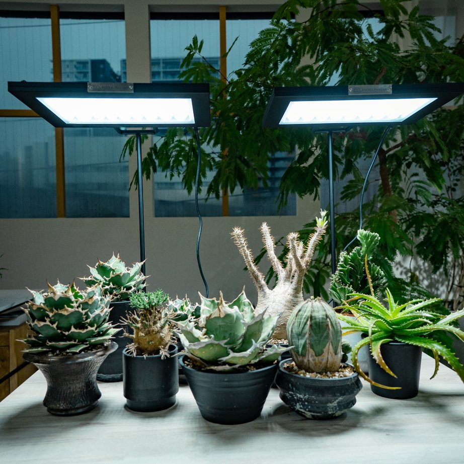 【ROKI-350 STAND】<br>ROKI-350 only use