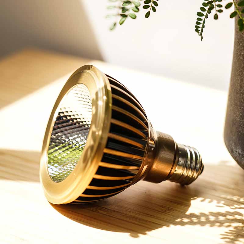 【TSUKUYOMI 10W】 BULB E26<br>AKADAMACHAN MODEL Gold/Bronze<br>CCT: 4000~5000K