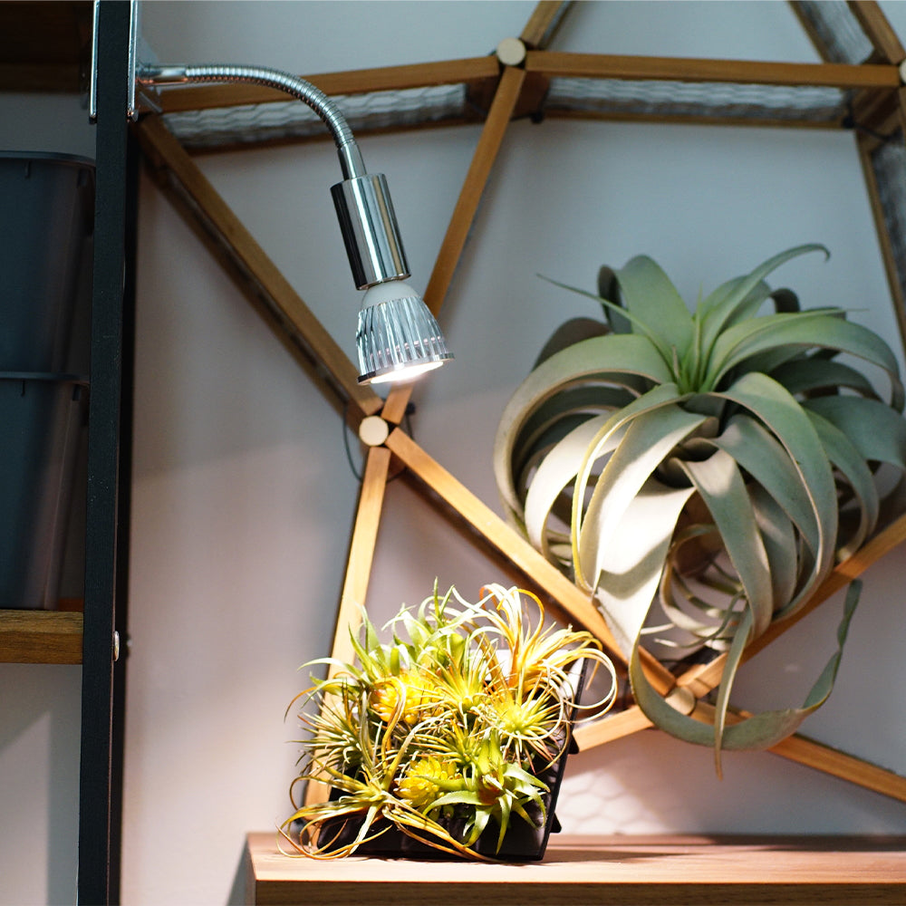 【PLANT CLIP-B-E26】<br>Clip-on light fixture