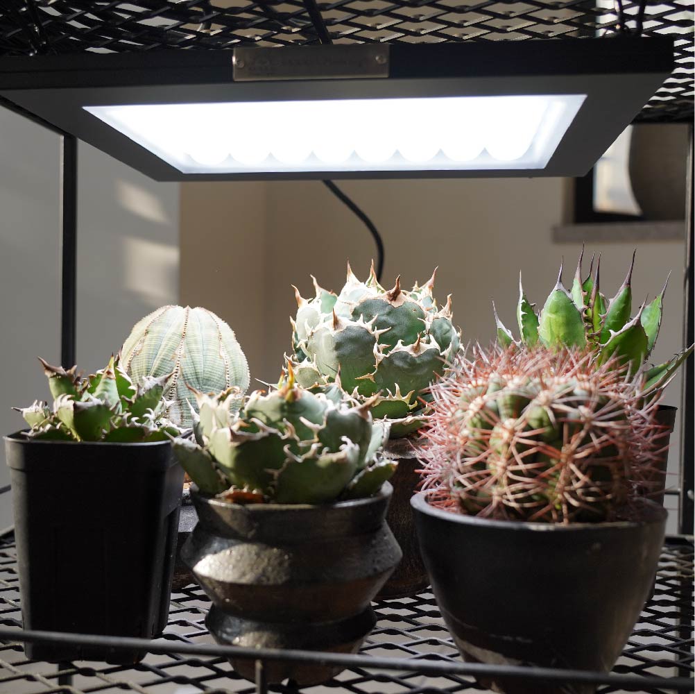 【ROKI-350 100W】PRO SPEC<br>CCT: 5300~5700K