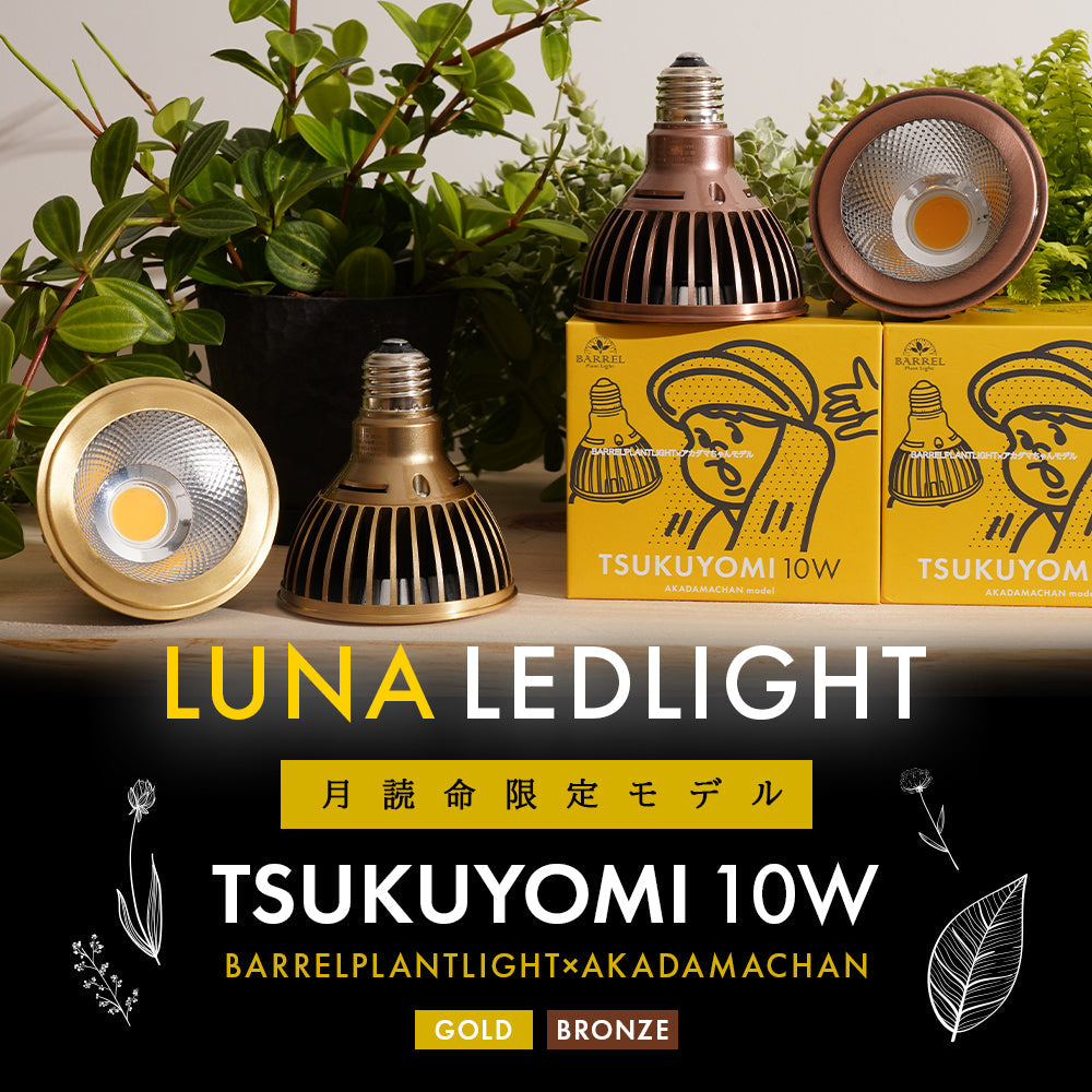 【TSUKUYOMI 10W】 BULB E26<br>AKADAMACHAN MODEL Gold/Bronze<br>CCT: 4000~5000K