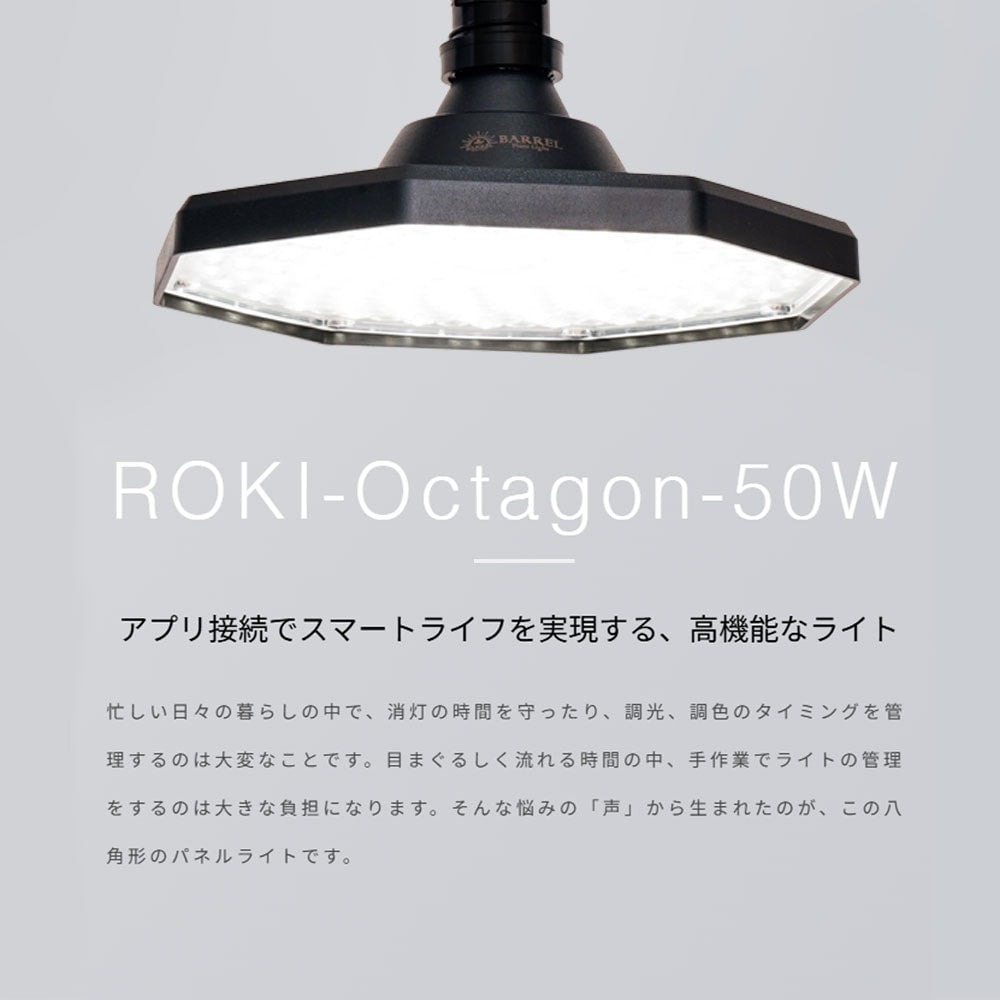 【ROKI-Octagon-50W】PRO SPEC<br>CCT: 3000-5000K