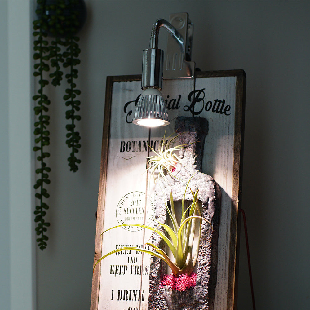 【PLANT CLIP-B-E26】<br>Clip-on light fixture
