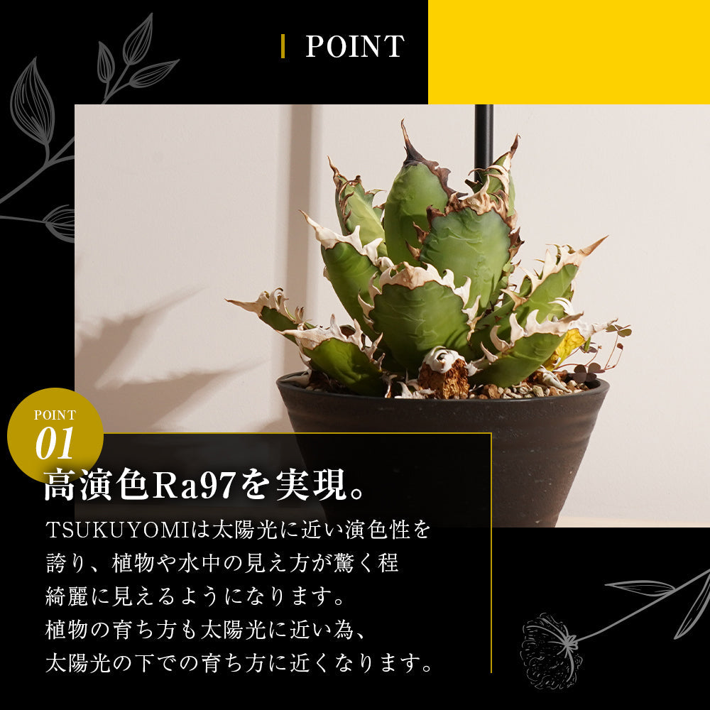 【TSUKUYOMI 10W】 BULB E26<br>AKADAMACHAN MODEL Gold/Bronze<br>CCT: 4000~5000K