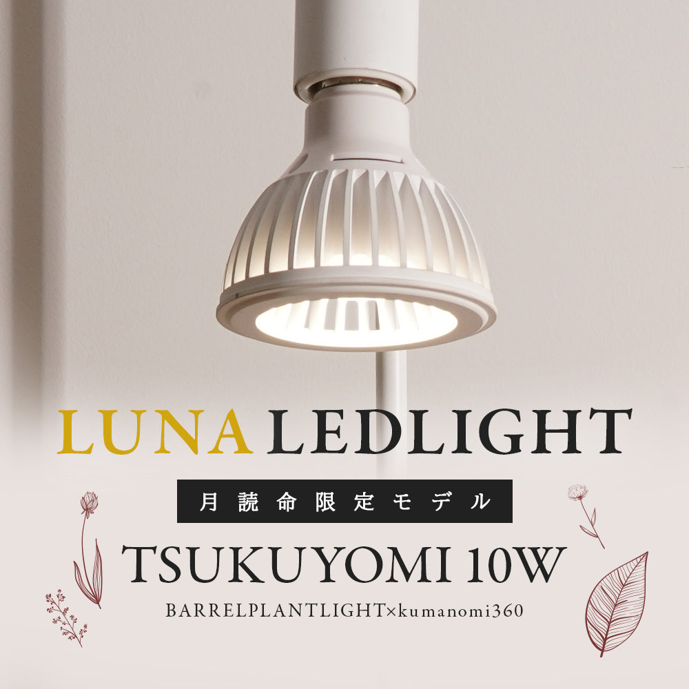 【TSUKUYOMI 10W】BULB E26<br>CCT: 4000~5000K