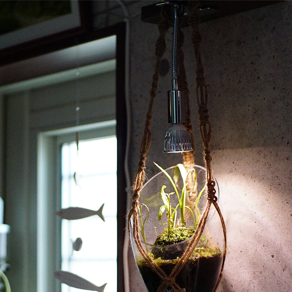 【PLANT CLIP-B-E26】<br>Clip-on light fixture