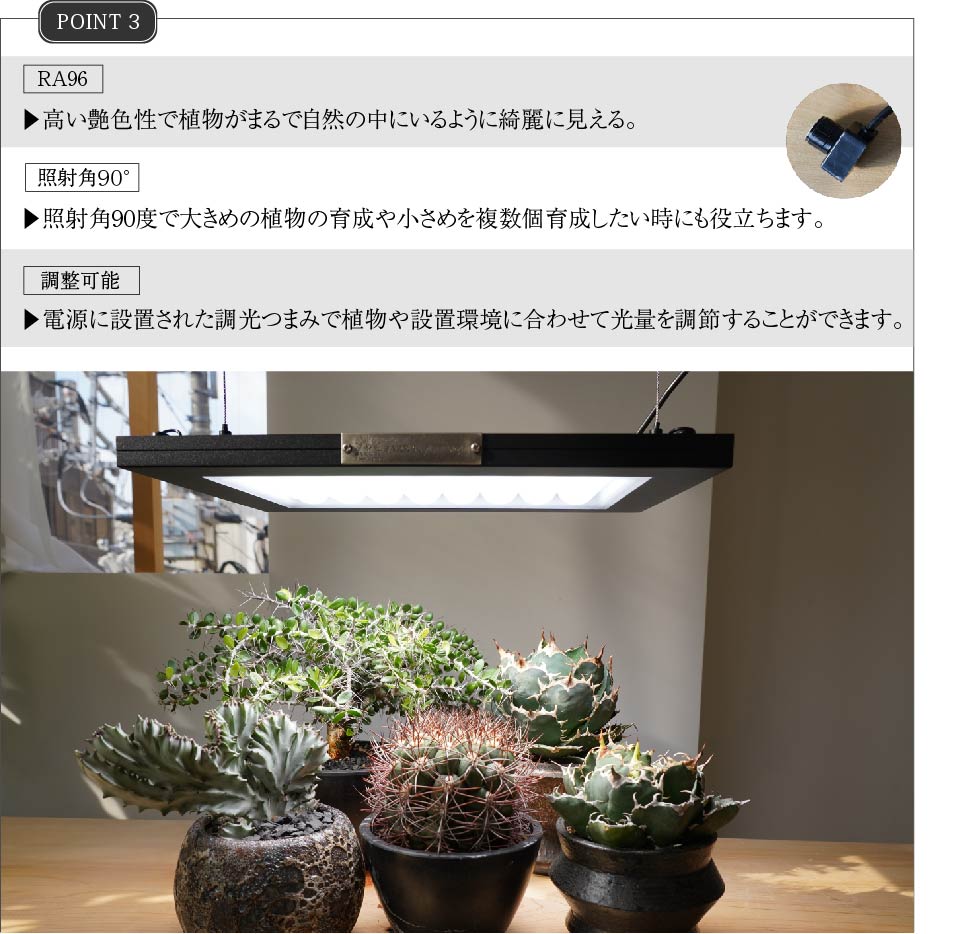 【ROKI-350 100W】PRO SPEC<br>CCT: 5300~5700K