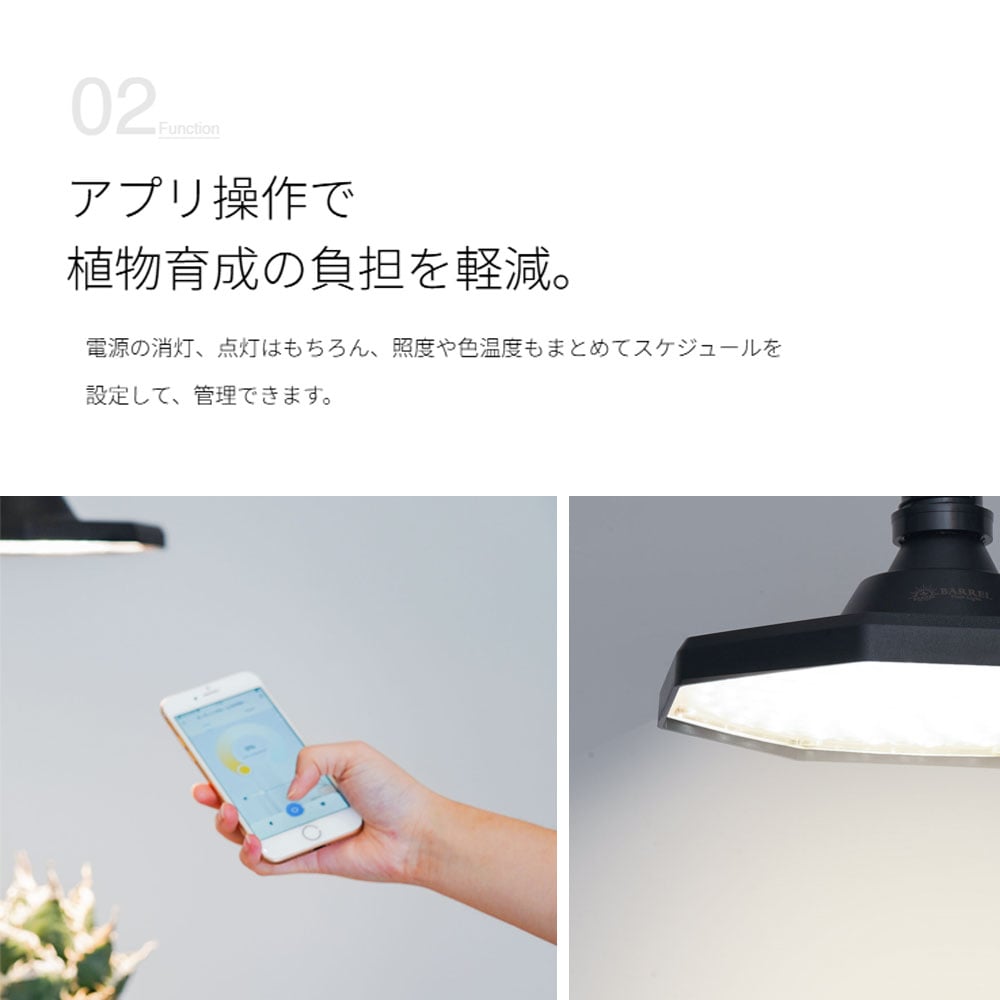 【ROKI-Octagon-50W】PRO SPEC<br>CCT: 3000-5000K