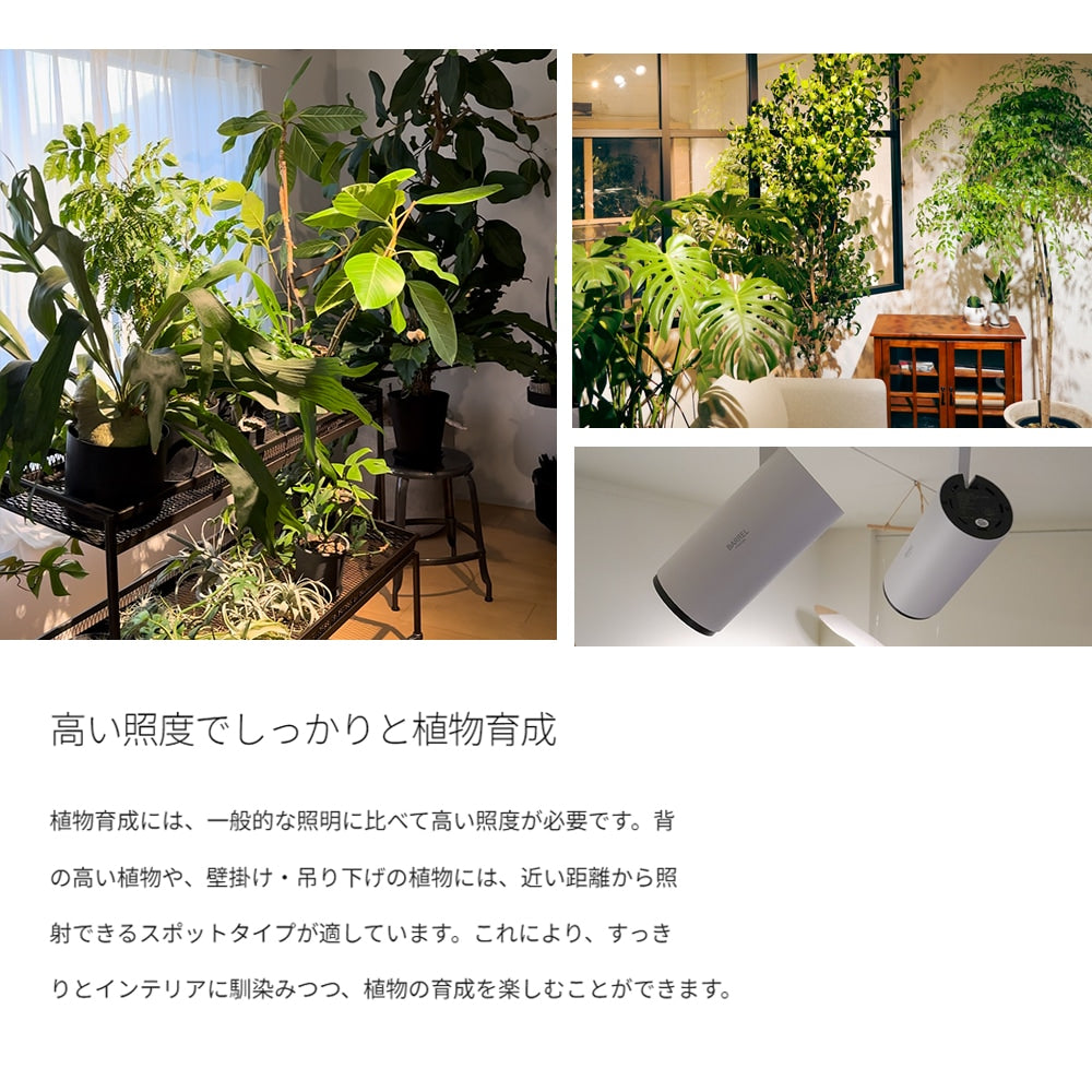 【HADES-85-20W】<br>CCT: 3000K/4000K/5000K