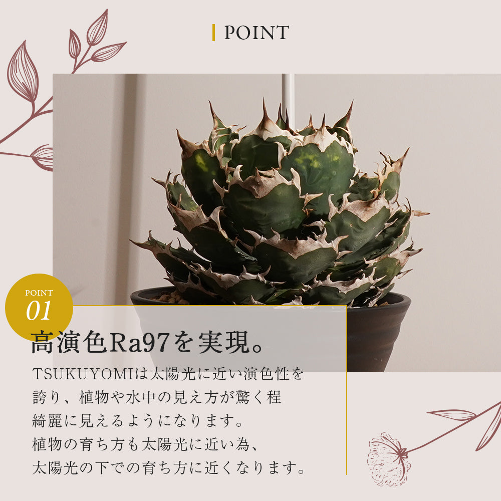 【TSUKUYOMI 10W】BULB E26<br>CCT: 4000~5000K