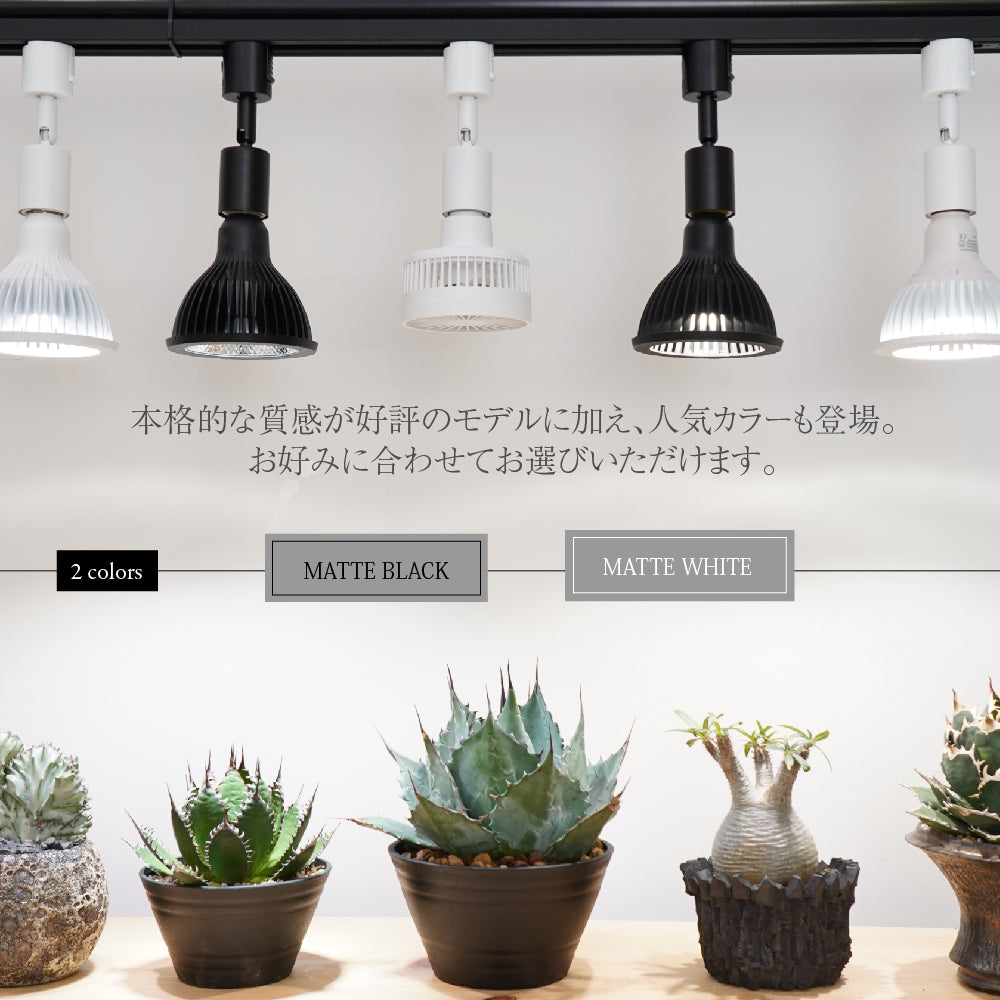 【LIGHT SOCKET-10-E26】<br>Lighting socket