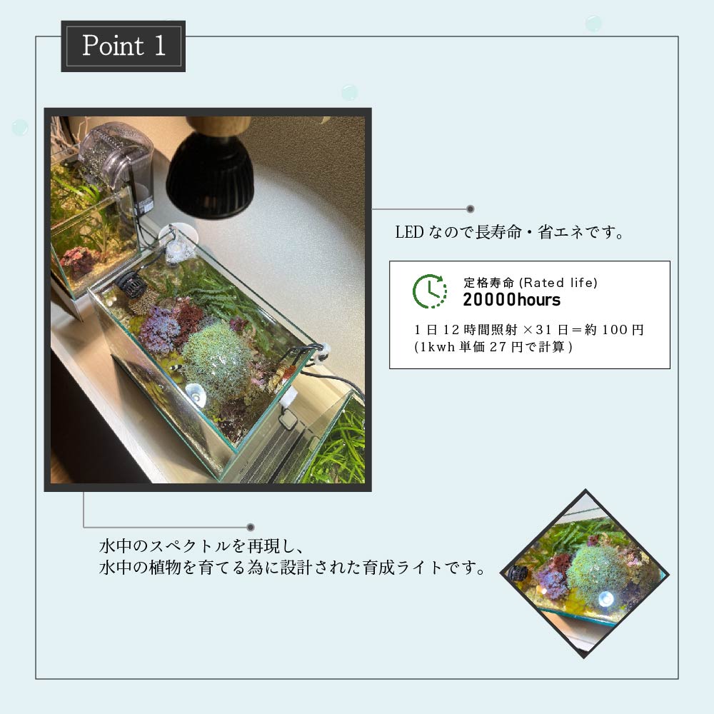 【SUSANOO 10W】BULB E26<br>CCT: 11000~16000K