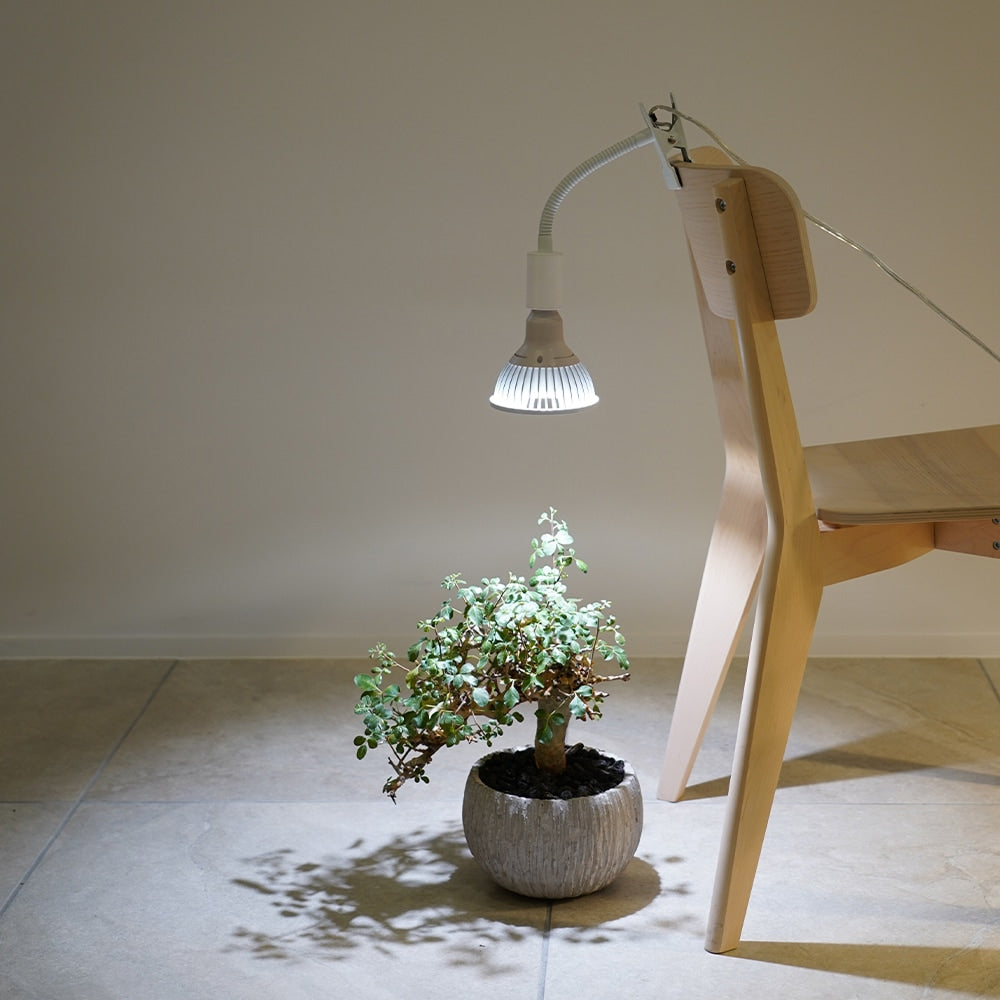 【PLANT CLIP-A-E26】<br>Clip-on light fixture