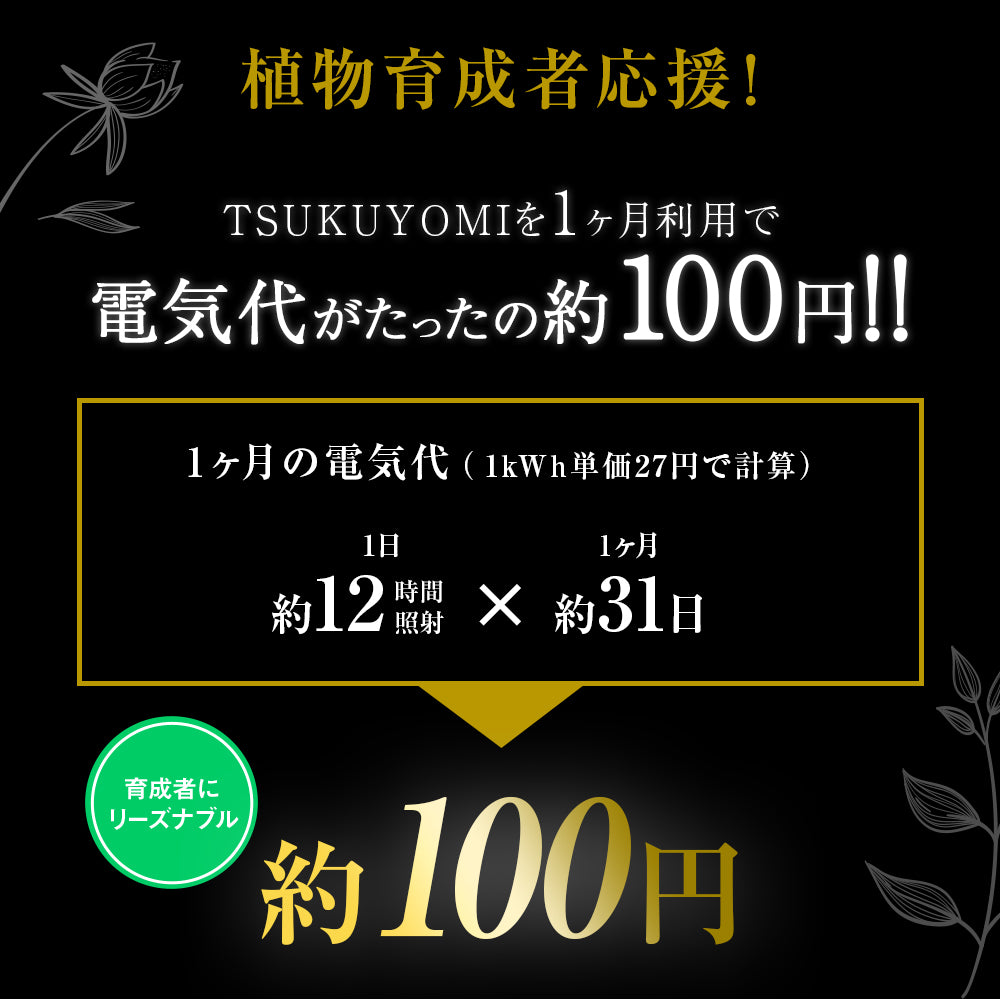 【TSUKUYOMI 10W】 BULB E26<br>AKADAMACHAN MODEL Gold/Bronze<br>CCT: 4000~5000K