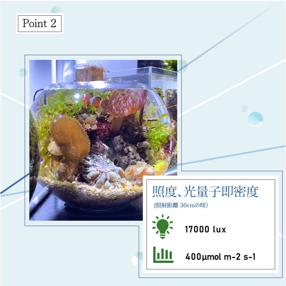 【SUSANOO 10W】BULB E26<br>CCT: 11000~16000K