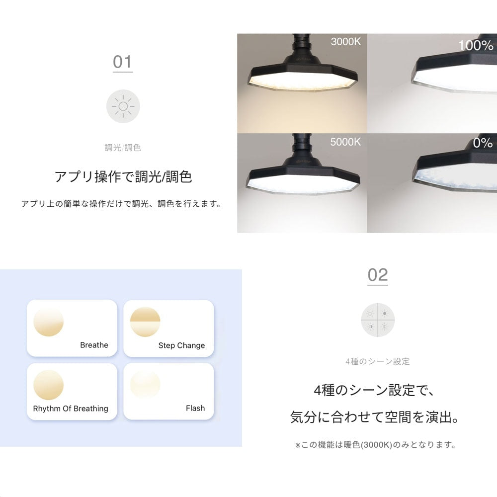 【ROKI-Octagon-50W】PRO SPEC<br>CCT: 3000-5000K