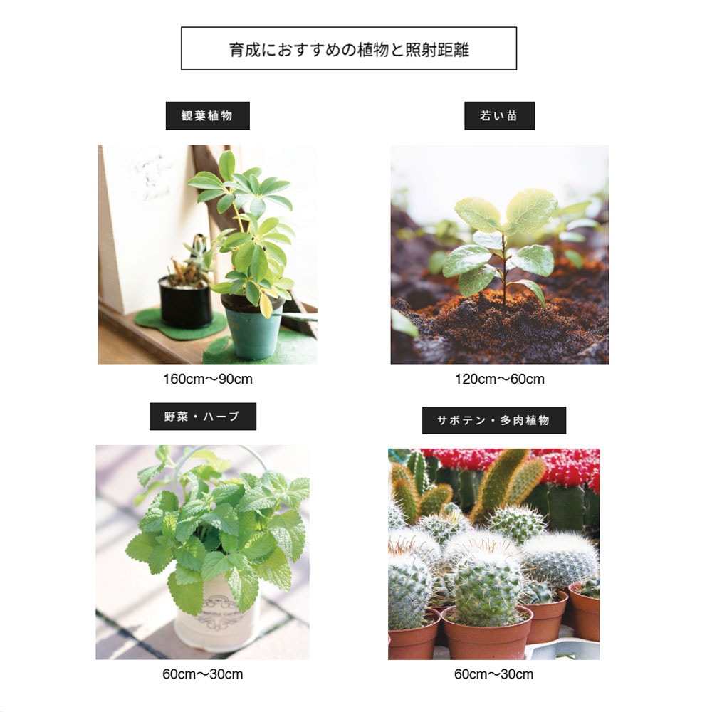 【ROKI-Octagon-50W】PRO SPEC<br>CCT: 3000-5000K