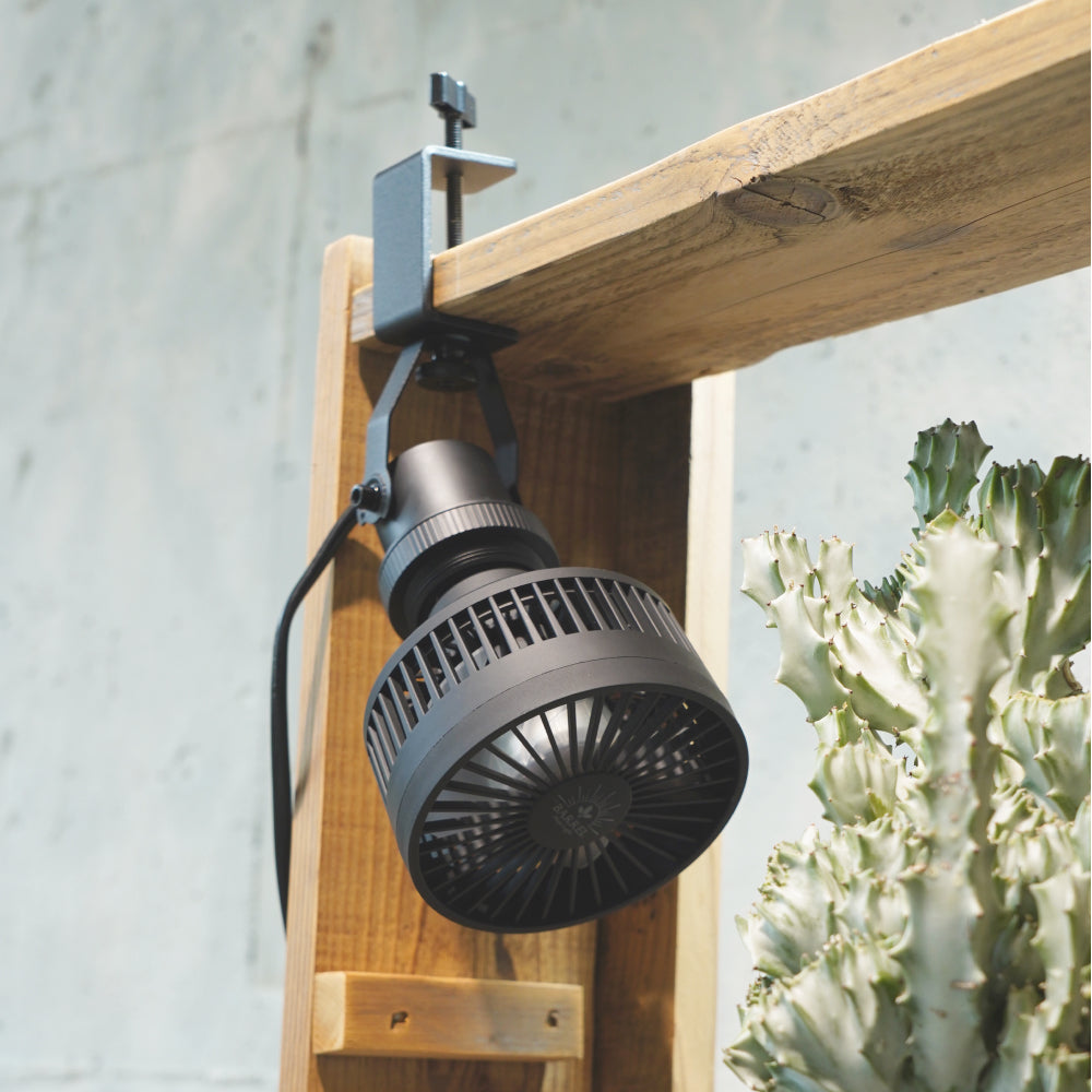 【Aechmea】Air circulator