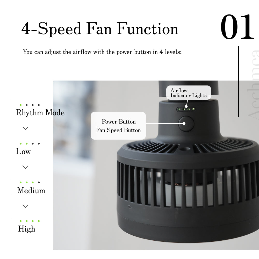 【Aechmea】Air circulator