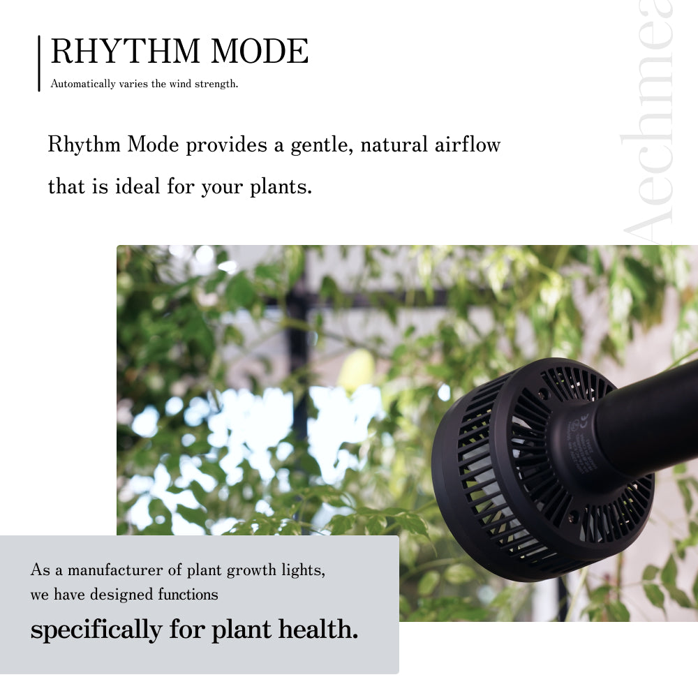 【Aechmea】Air circulator