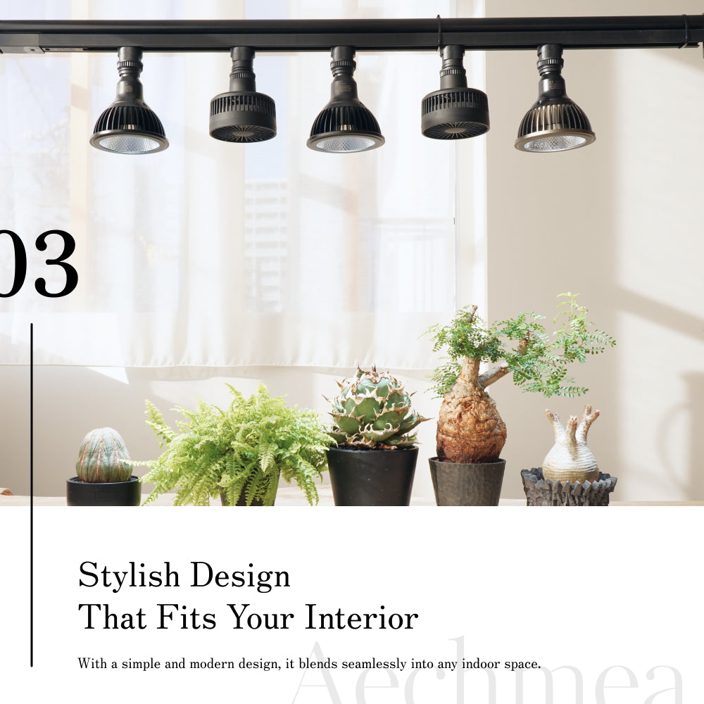 【Aechmea】Air circulator