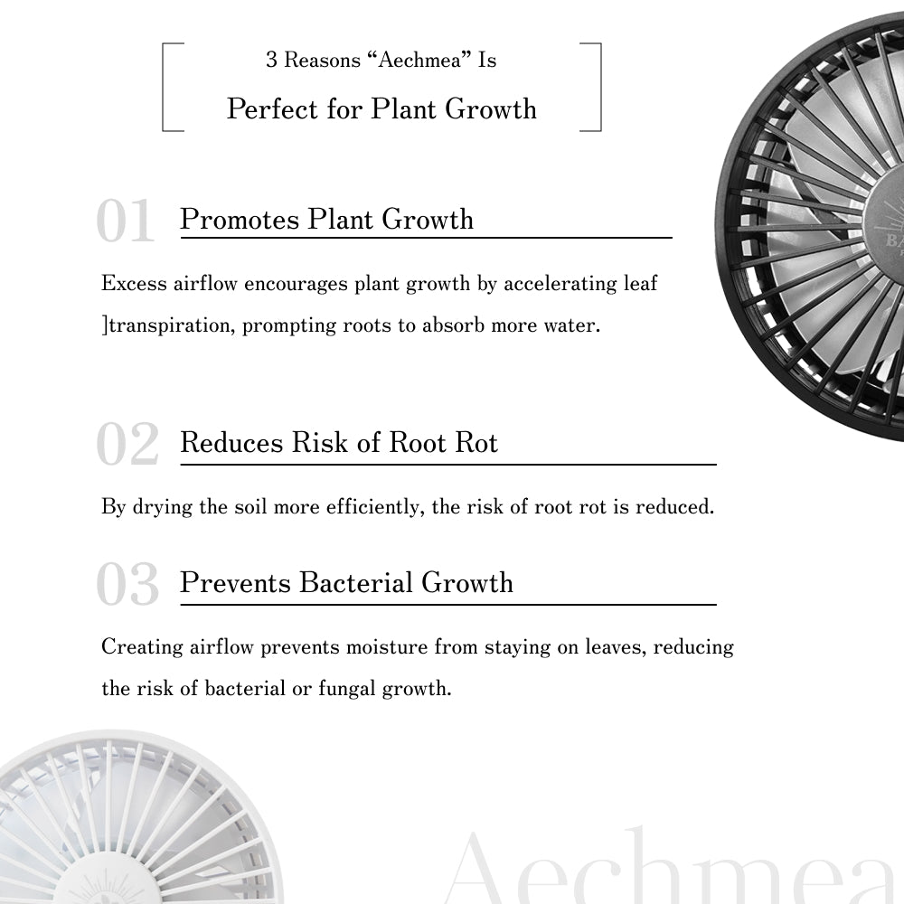 【Aechmea】Air circulator