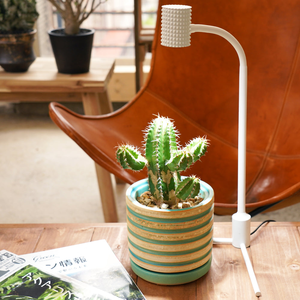 【Yew-7w】STAND TYPE<br>CCT: 6800~7200K