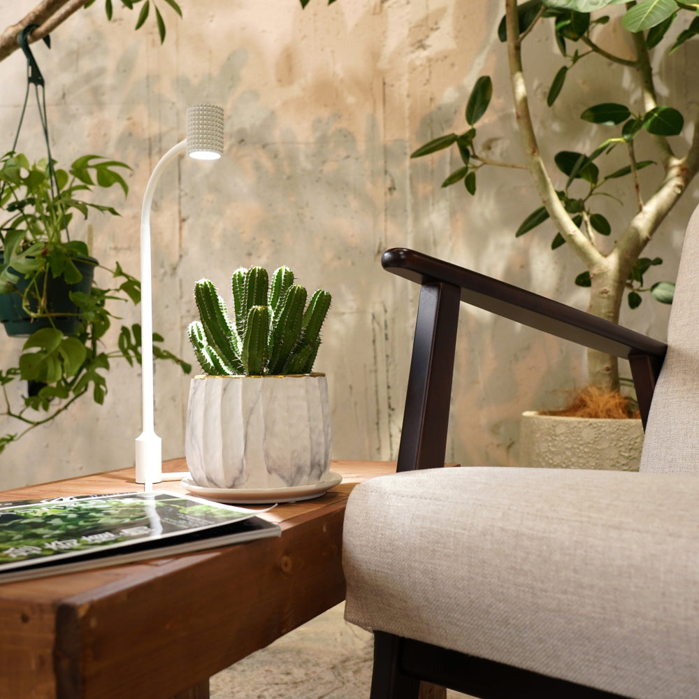 【Yew-7w】STAND TYPE<br>CCT: 6800~7200K