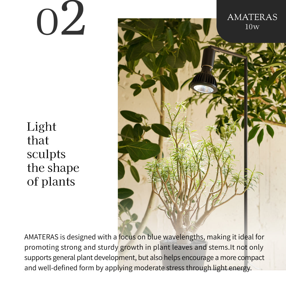 【Bundle】<br>AMATERAS LED 10W × PLANT CLIP-A-E26
