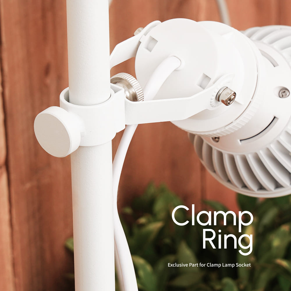 【Clamp Ring】|Dedicated Part for Clamp Lamp Socket