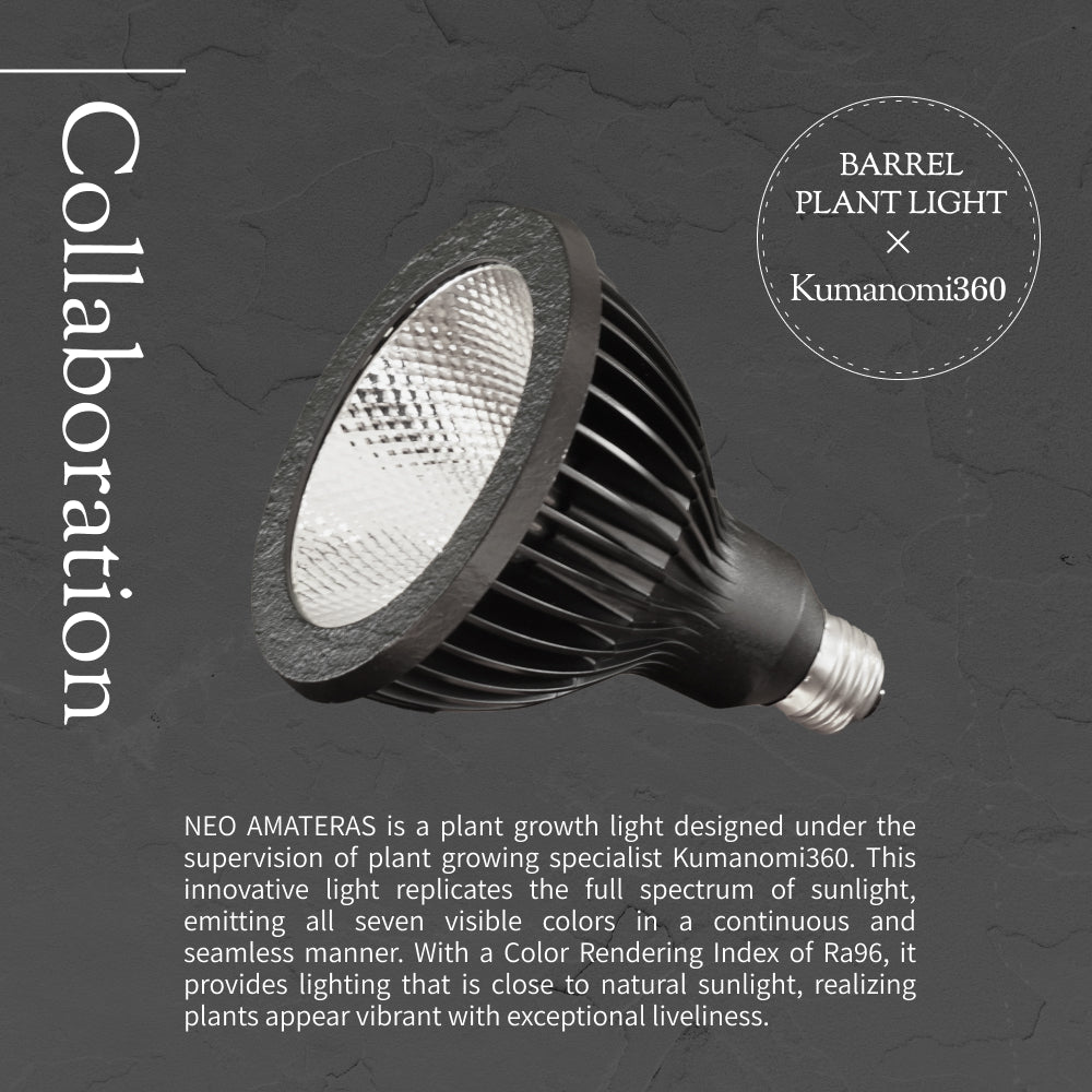 【NEO AMATERAS LED 20W】<br>BULB E26<br>CCT: 5900K