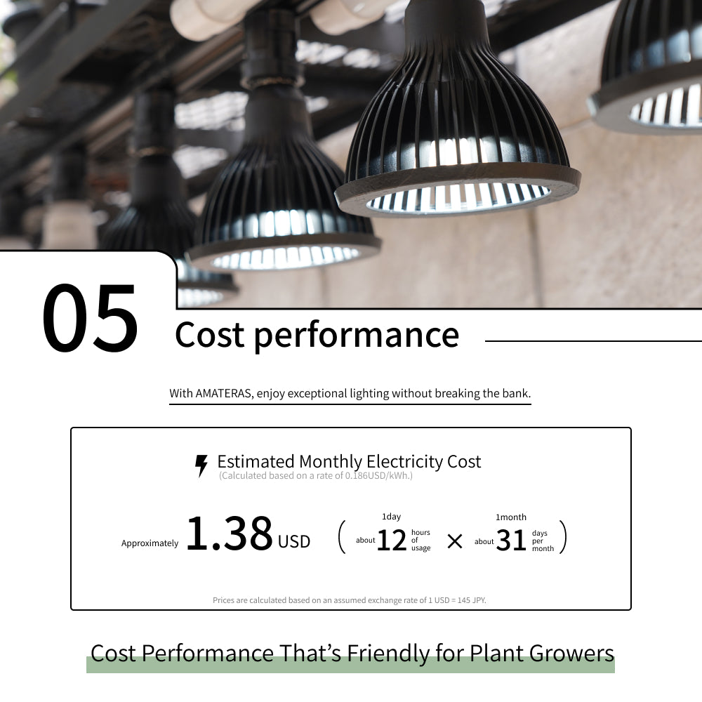 【NEO AMATERAS LED 20W】<br>BULB E26<br>CCT: 5900K