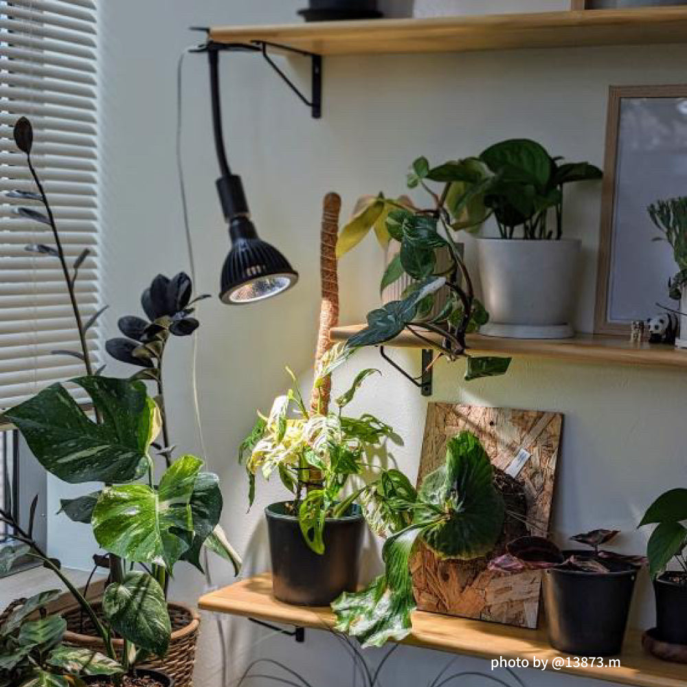 【NEO AMATERAS LED 20W】<br>BULB E26<br>CCT: 5900K