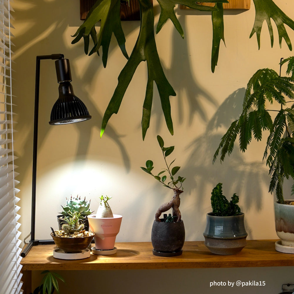 【NEO AMATERAS LED 20W】<br>BULB E26<br>CCT: 5900K