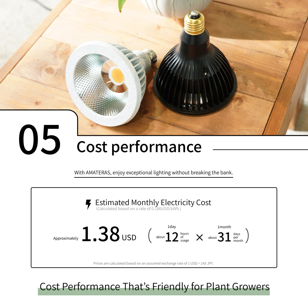 【NEO TSUKUYOMI LED 20W】<br>BULB E26<br>CCT: 4000~5000K