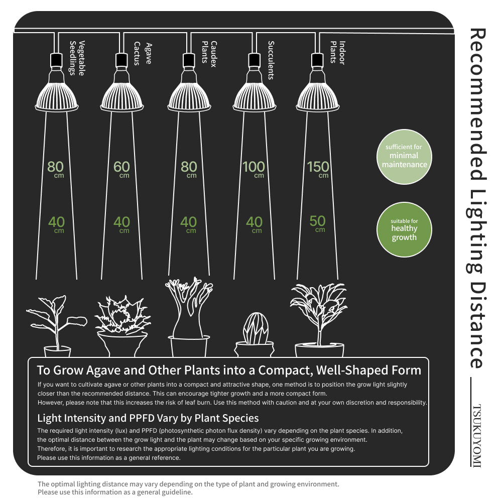 【NEO TSUKUYOMI LED 20W】<br>BULB E26<br>CCT: 4000~5000K