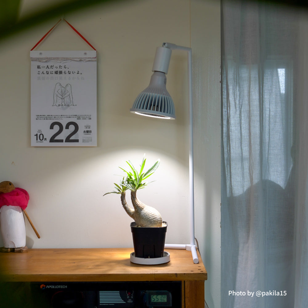 【NEO TSUKUYOMI LED 20W】<br>BULB E26<br>CCT: 4000~5000K