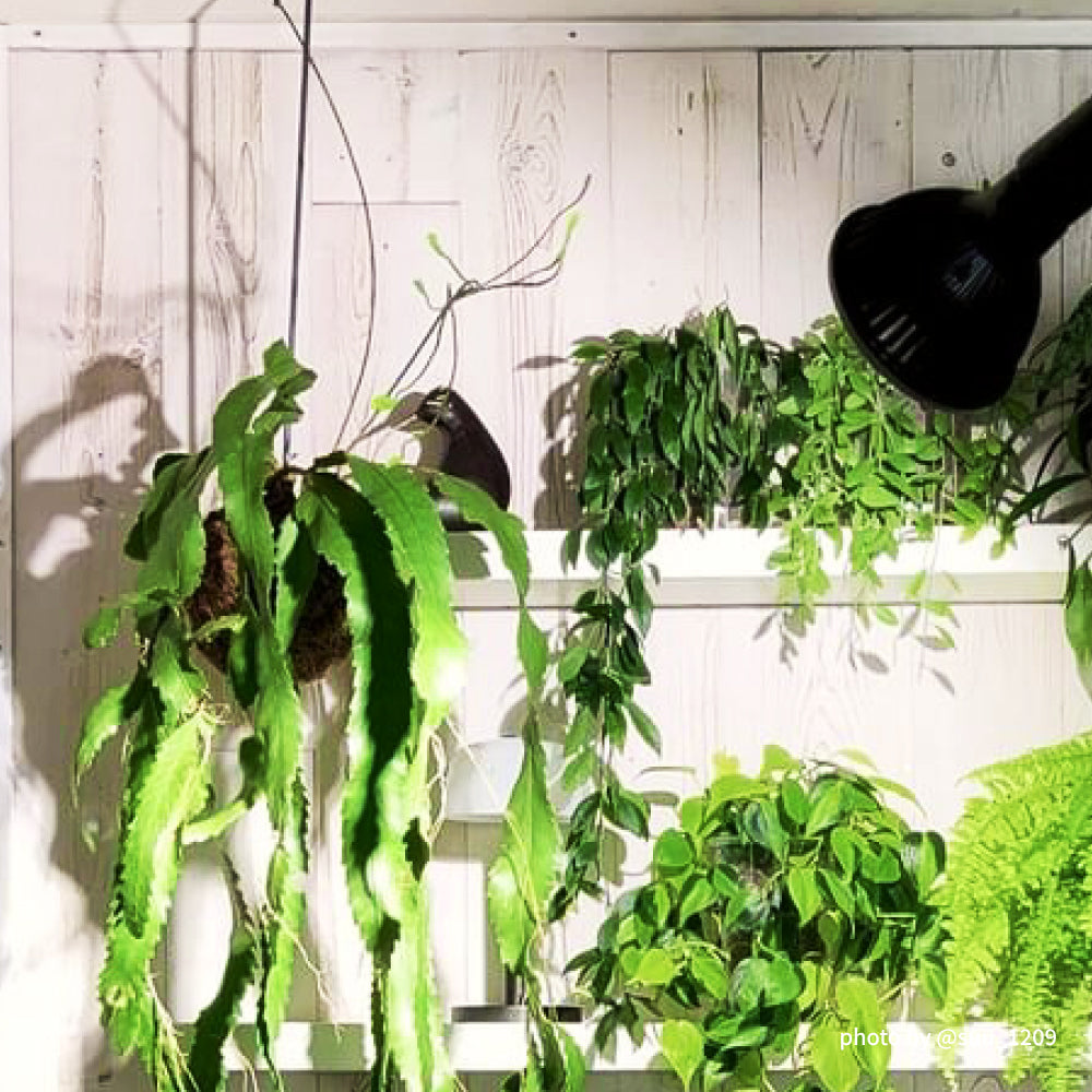 【NEO TSUKUYOMI LED 20W】<br>BULB E26<br>CCT: 4000~5000K