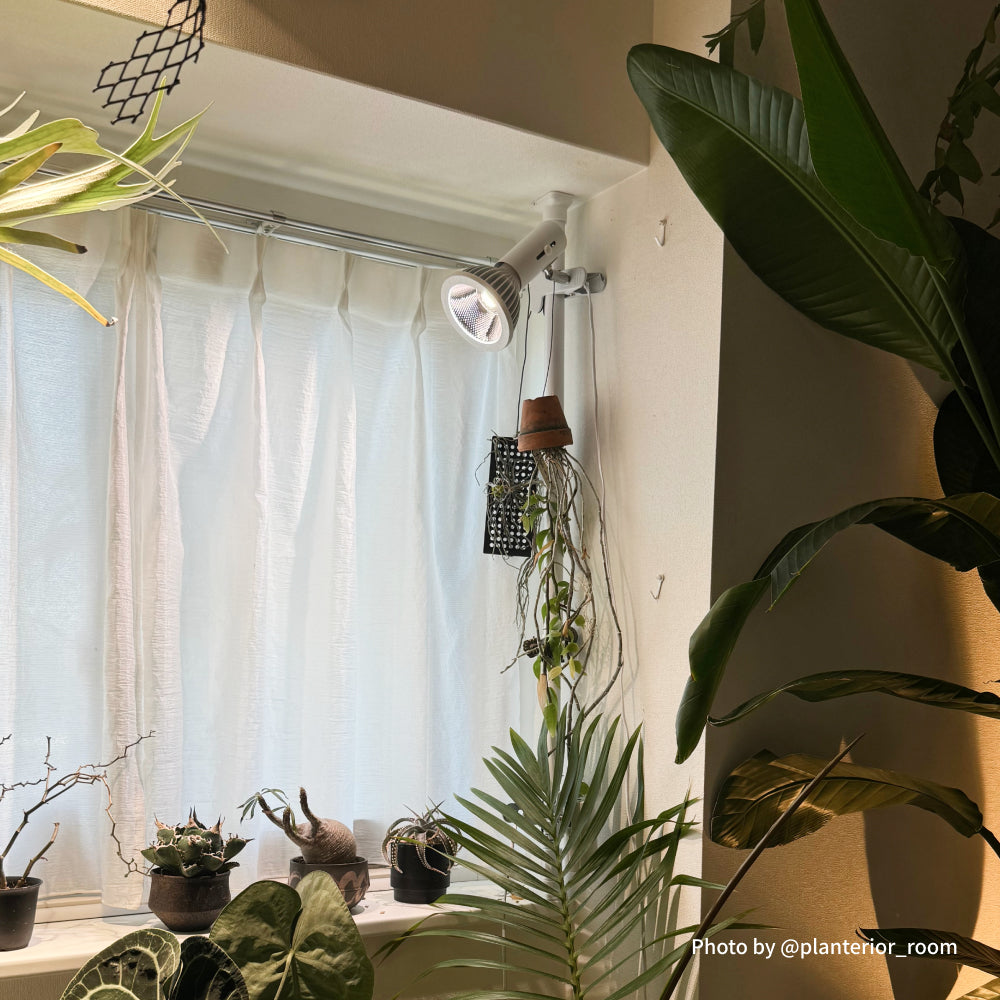 【NEO TSUKUYOMI LED 20W】<br>BULB E26<br>CCT: 4000~5000K