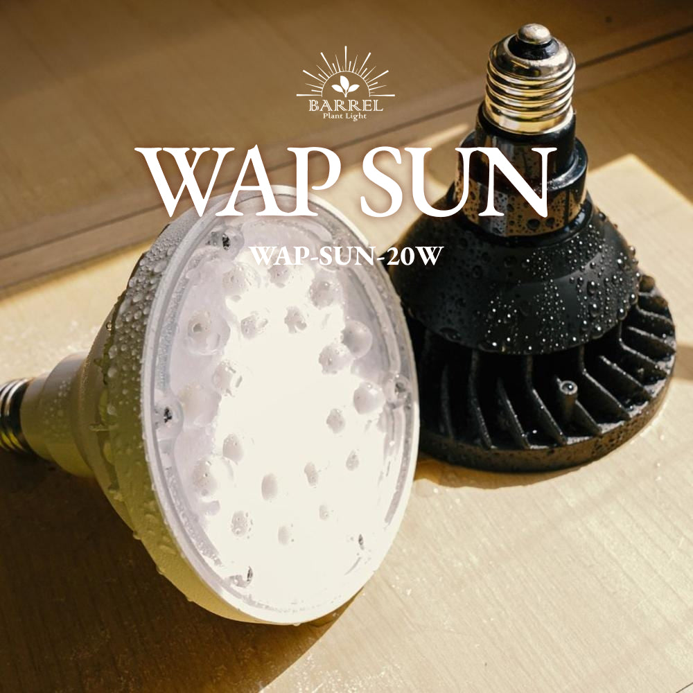 【WAP-SUN-20W】BULB E26<br>Water-resistance IP65<br>CCT: 4300~4700K
